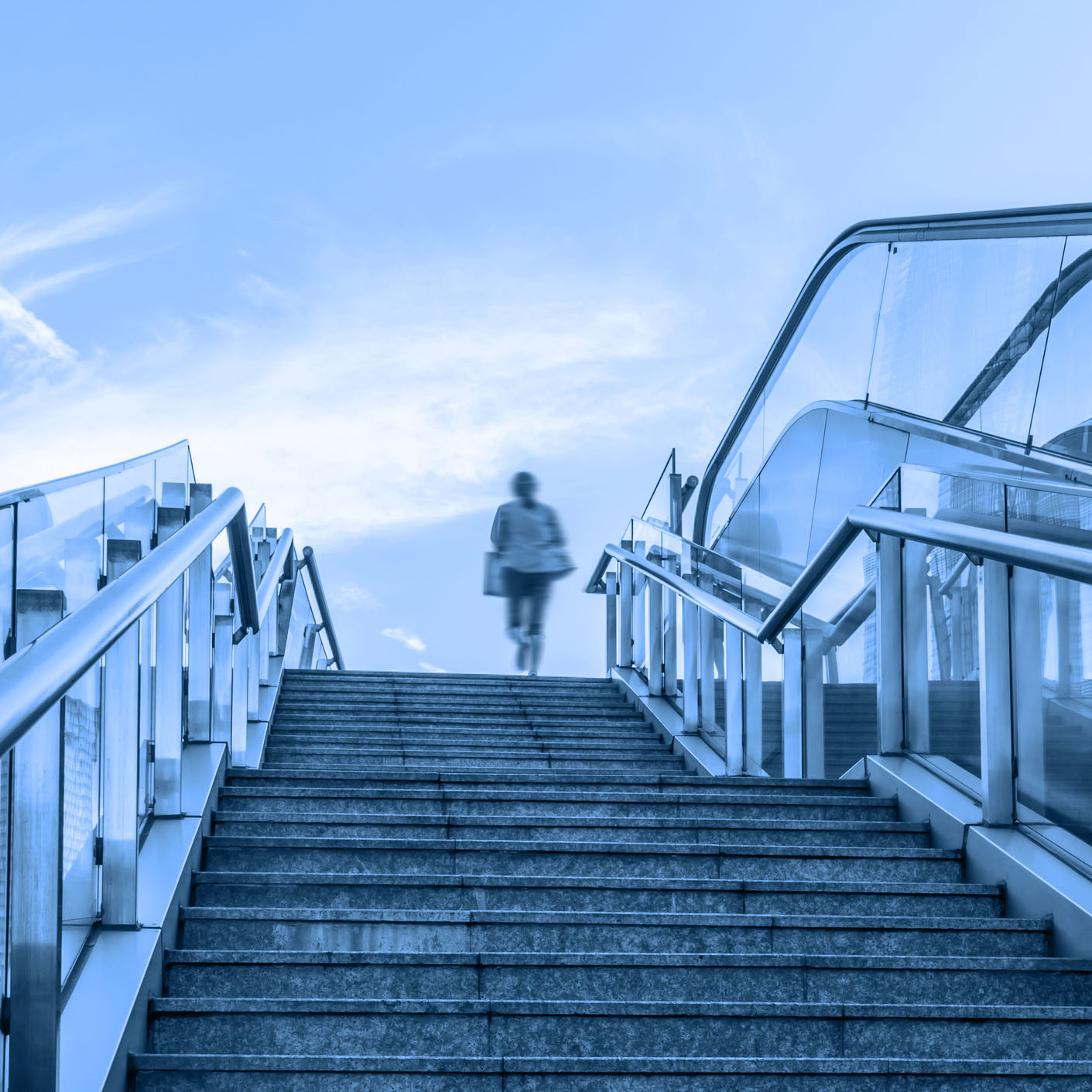 FAP STEP Initiative Workshop